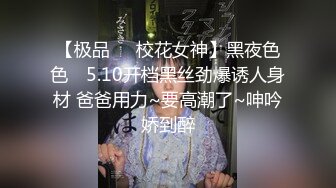 奔驰车模，极品女神，蜂腰翘臀，黑丝诱惑，娇喘不断诱惑，高清源码录制