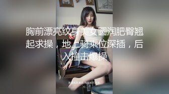 STP33161 颜质!美乳、美足、美尻~不可思议完美的存在 VIP0600