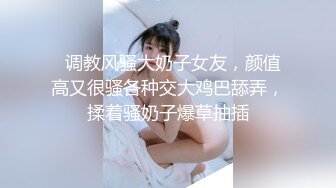 顶级绝美新晋SSS逆天极品女神璃奈酱 全裸女仆润滑套餐上帝视角超粉神鲍[149P+1V/373M]