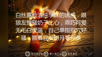 约炮人妻良家 FC2卖家 人妻愛奴 部分中文字幕合集【45V】 (23)