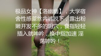 黑色长裙少妇，穿上情趣吊带透视装，舌吻摸逼调情69口交