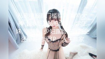 牛B大神商场女厕暗藏摄像头偷窥53位美女少妇嘘嘘 (3)