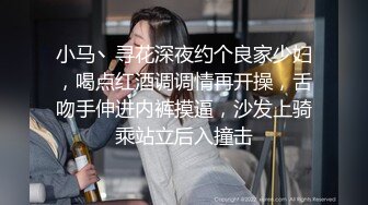 小马丶寻花深夜约个良家少妇，喝点红酒调调情再开操，舌吻手伸进内裤摸逼，沙发上骑乘站立后入撞击