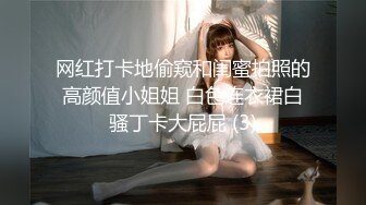 蕾丝熟女2