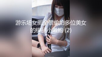 游乐场女厕全景偷拍多位美女的极品小嫩鲍 (2)