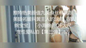 推特绝美颜值九头身丝袜高跟美腿名媛网黄主人的玩具「海绵宝宝」「小海绵」OF大尺度性爱私拍【第三弹】 (2)