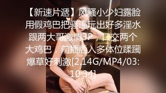 另类玩法SM调教美臀小姐姐，换上女仆装翘起美臀，肛塞尾巴小皮鞭