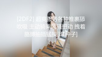 【温柔端庄】⭐人前淑女 人后淫荡 这算是反差么？一线天白皙高冷御姐，极品身材中出，腰部没一点赘肉，在安全通道轮奸母狗 (3)