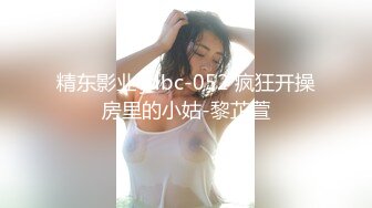 【大象传媒】dx-003 骚肉妹妹传媒 在做爱或在做爱的路上-何安汝