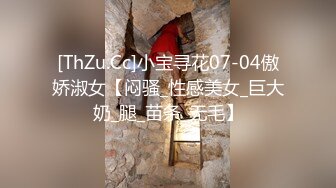 [ThZu.Cc]小宝寻花07-04傲娇淑女【闷骚_性感美女_巨大奶_腿_苗条_无毛】