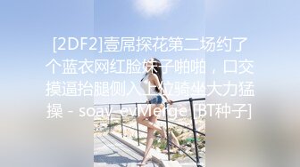 麻豆傳媒 MDHG0016 這個面試有點硬 女優私密檔案 在天橋上的享樂者