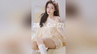 28-3_Cut (2)