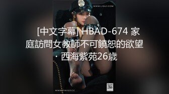    [中文字幕] HBAD-674 家庭訪問女教師不可饒恕的欲望・西海紫苑26歳