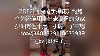 极品女神【七猫猫】 【40V】 (42)