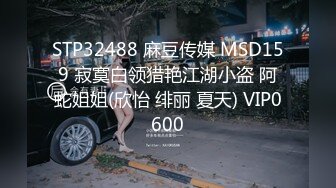 STP32488 麻豆传媒 MSD159 寂寞白领猎艳江湖小盗 阿蛇姐姐(欣怡 绯丽 夏天) VIP0600