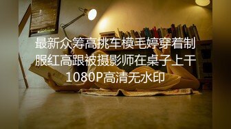 (中文字幕)痴漢で感じる私を見ないで ～衆人環視の車中で寝取らせ中出し～ 佐々木あき佐々木あき