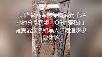 职业装ol薄丝美少妇