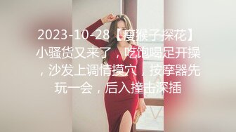 ☆★“老公好棒好舒服主人还要”对话淫荡，嫩妹调教大神【算啊会】美乳粉屄小美女被开发成纯纯小母狗，饥渴淫叫的样子好刺激 (4)