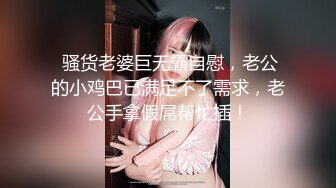 极度反差高颜清纯女神姐姐【晓雅】性爱私拍全集，白肤大波粉奶头可惜私处已被金主玩黑