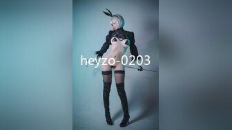 heyzo-0203