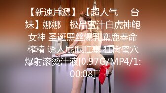 听话的女仆装小情人