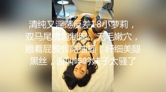 【在线】液液酱 – 黑猫女仆灰丝COS (37P+2V119MB)