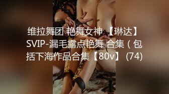 维拉舞团 艳舞女神 【琳达】SVIP-漏毛露点艳舞 合集（包括下海作品合集【80v】 (74)